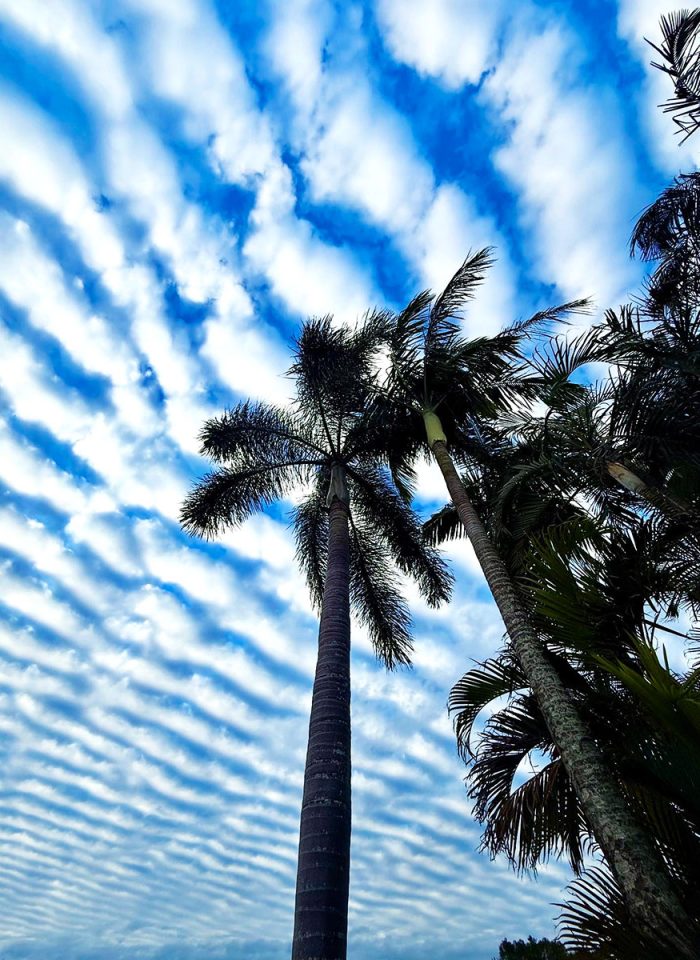Cloud Formation